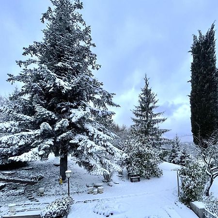Mazzetti Country House-Vita In Campagna Con Giardino Vimignano-Chiesa 외부 사진