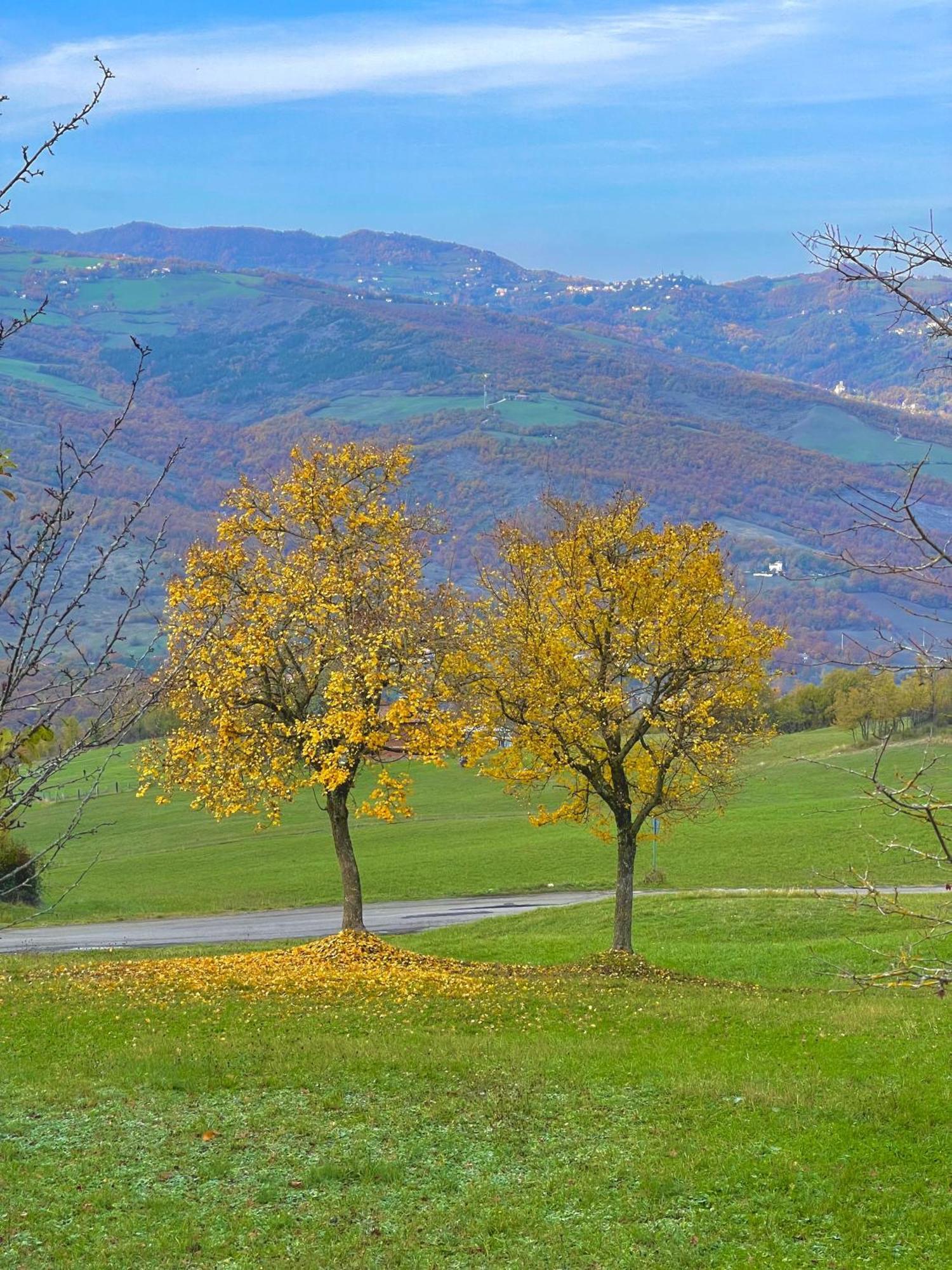 Mazzetti Country House-Vita In Campagna Con Giardino Vimignano-Chiesa 외부 사진