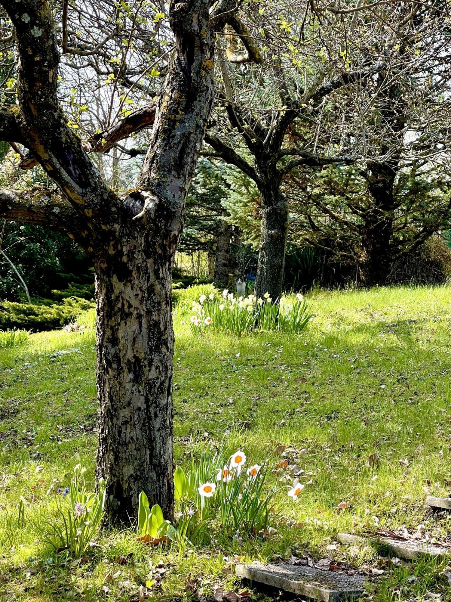 Mazzetti Country House-Vita In Campagna Con Giardino Vimignano-Chiesa 외부 사진