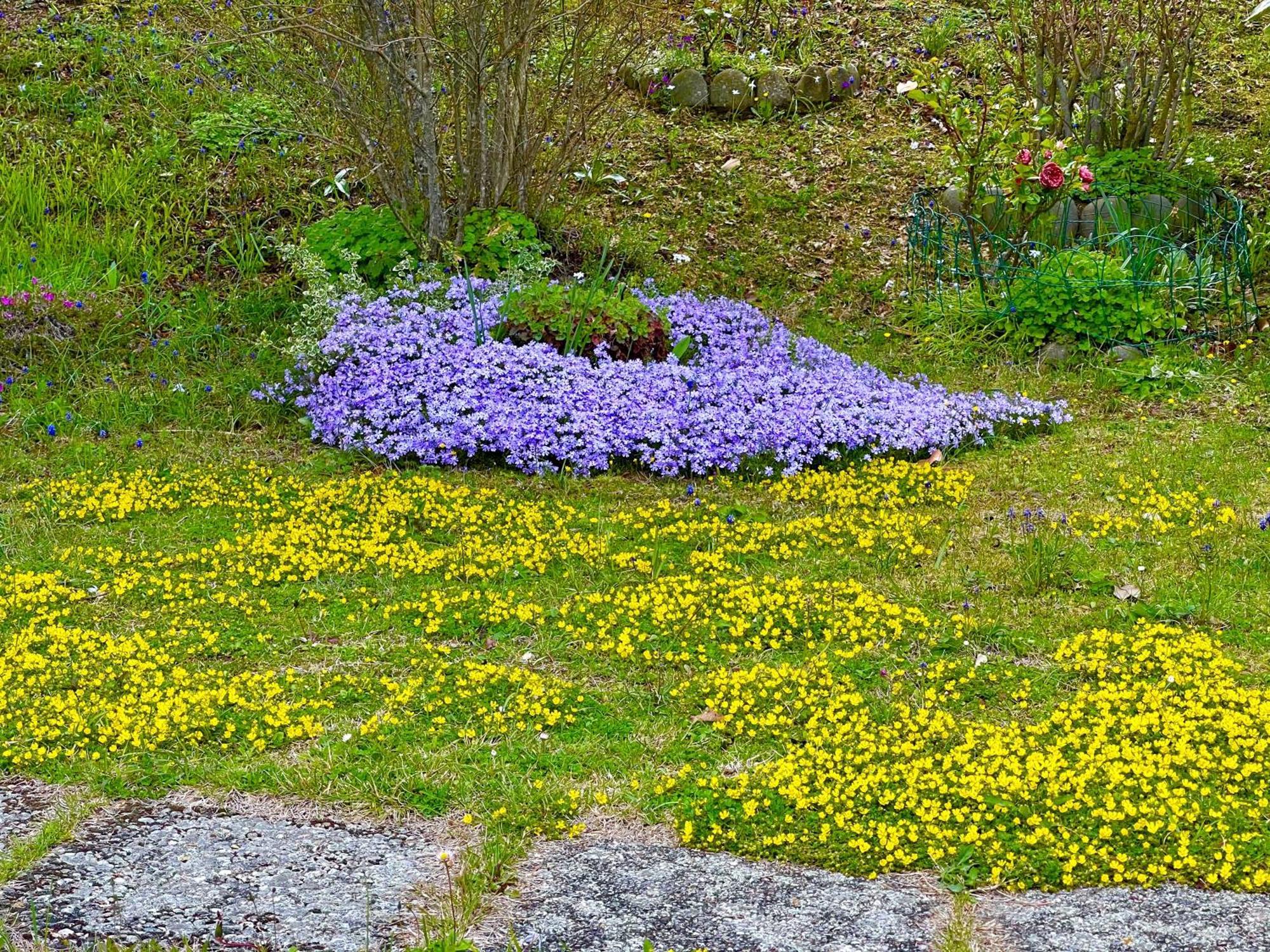 Mazzetti Country House-Vita In Campagna Con Giardino Vimignano-Chiesa 외부 사진