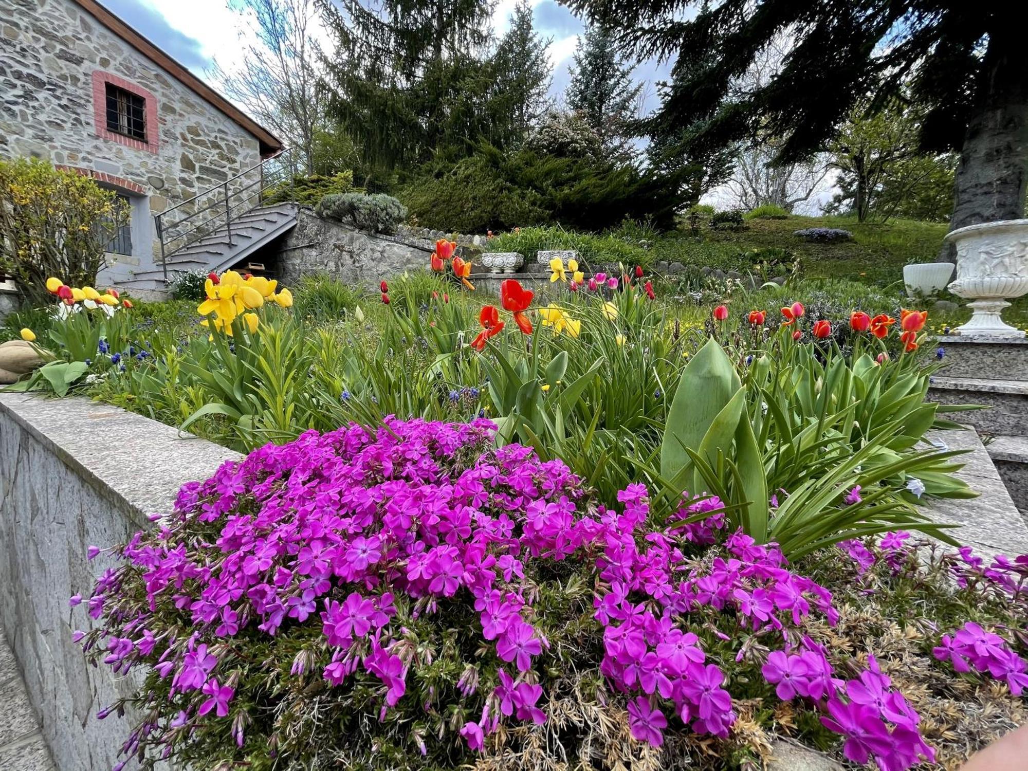 Mazzetti Country House-Vita In Campagna Con Giardino Vimignano-Chiesa 외부 사진