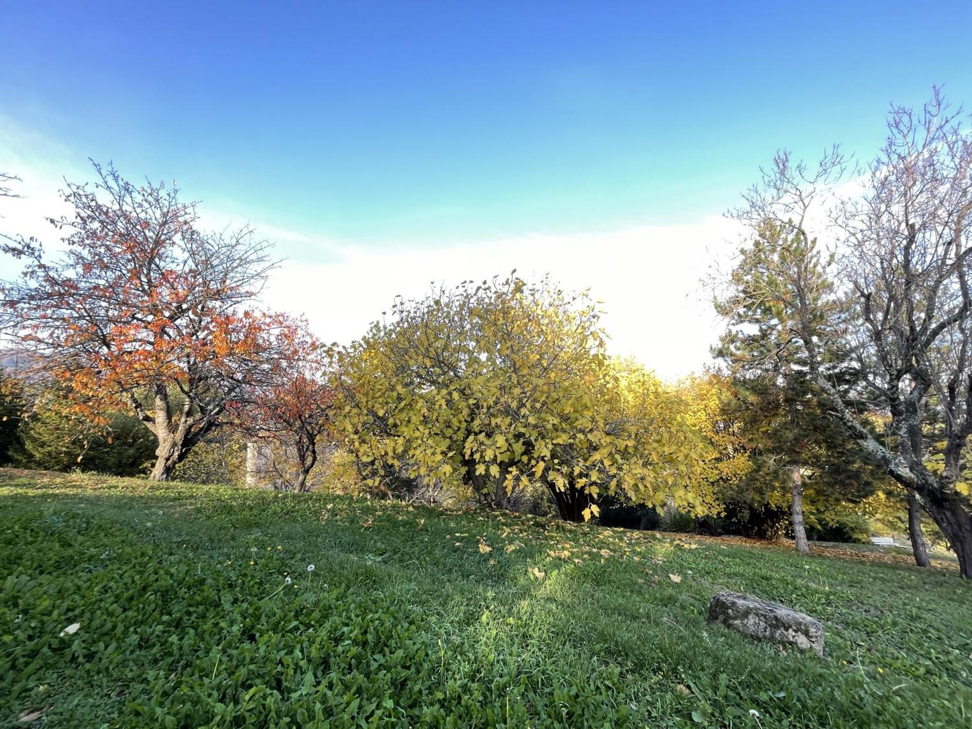 Mazzetti Country House-Vita In Campagna Con Giardino Vimignano-Chiesa 외부 사진