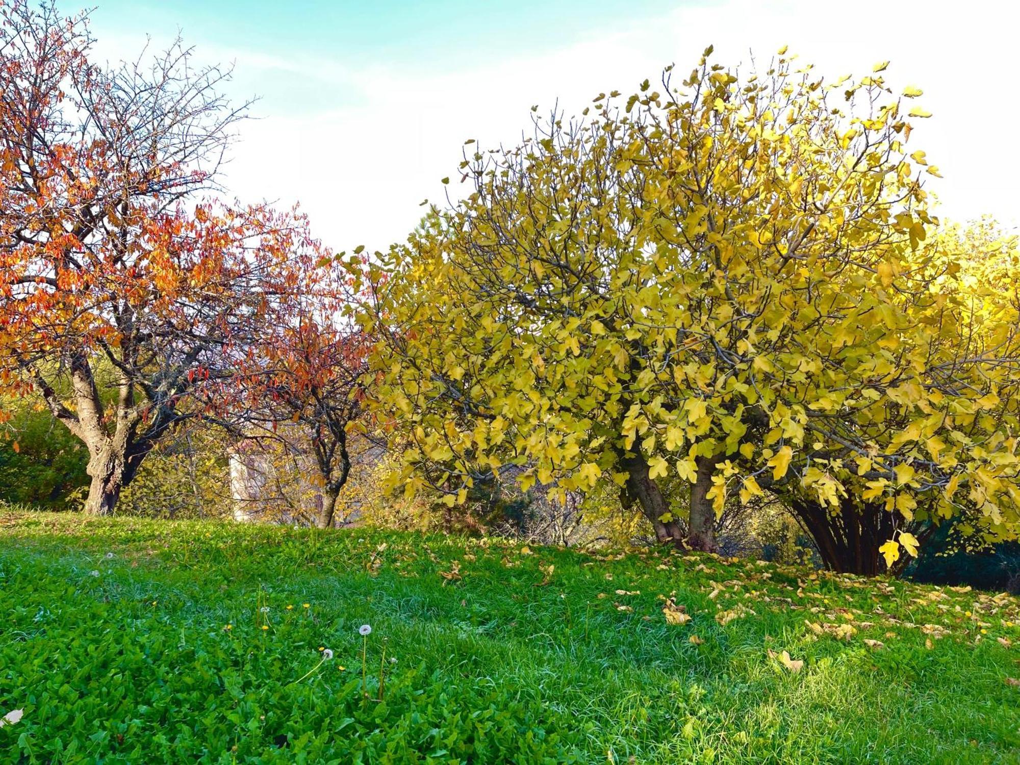 Mazzetti Country House-Vita In Campagna Con Giardino Vimignano-Chiesa 외부 사진